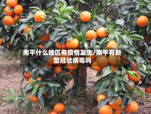 南平什么地区有疫情发生/南平有新型冠状病毒吗