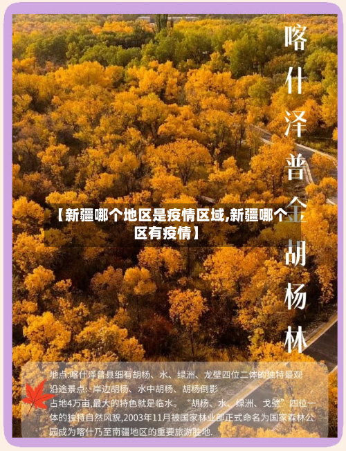 【新疆哪个地区是疫情区域,新疆哪个区有疫情】