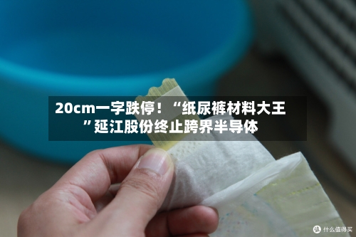 20cm一字跌停！“纸尿裤材料大王	”延江股份终止跨界半导体-第2张图片