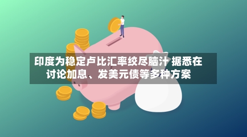 印度为稳定卢比汇率绞尽脑汁 据悉在讨论加息	、发美元债等多种方案-第2张图片