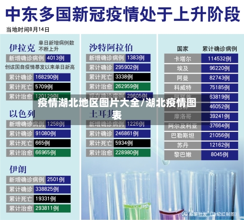 疫情湖北地区图片大全/湖北疫情图表
