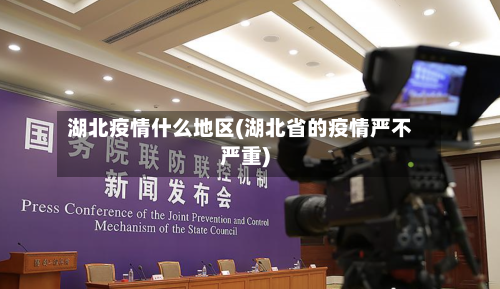 湖北疫情什么地区(湖北省的疫情严不严重)-第2张图片