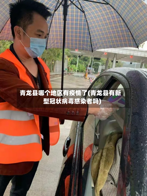 青龙县哪个地区有疫情了(青龙县有新型冠状病毒感染者吗)