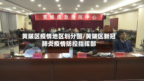 黄陂区疫情地区划分图/黄陂区新冠肺炎疫情防控指挥部-第3张图片