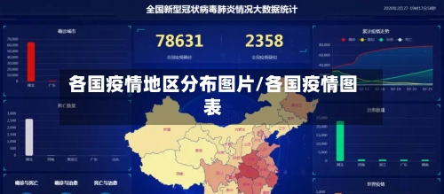 各国疫情地区分布图片/各国疫情图表