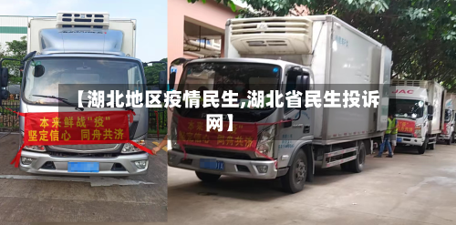【湖北地区疫情民生,湖北省民生投诉网】-第2张图片