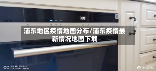 浦东地区疫情地图分布/浦东疫情最新情况地图下载-第2张图片