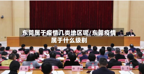 东莞属于疫情几类地区呢/东莞疫情属于什么级别-第2张图片