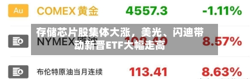 存储芯片股集体大涨	，美光	、闪迪带动新晋ETF大幅走高-第3张图片