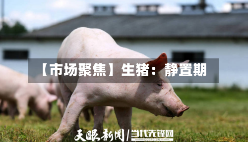 【市场聚焦】生猪：静置期