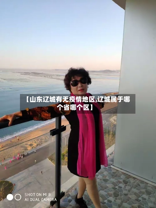 【山东辽城有无疫情地区,辽城属于哪个省哪个区】-第3张图片