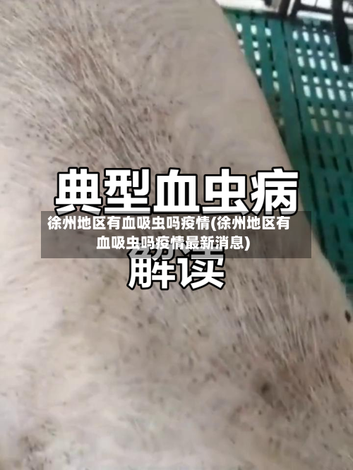 徐州地区有血吸虫吗疫情(徐州地区有血吸虫吗疫情最新消息)-第3张图片