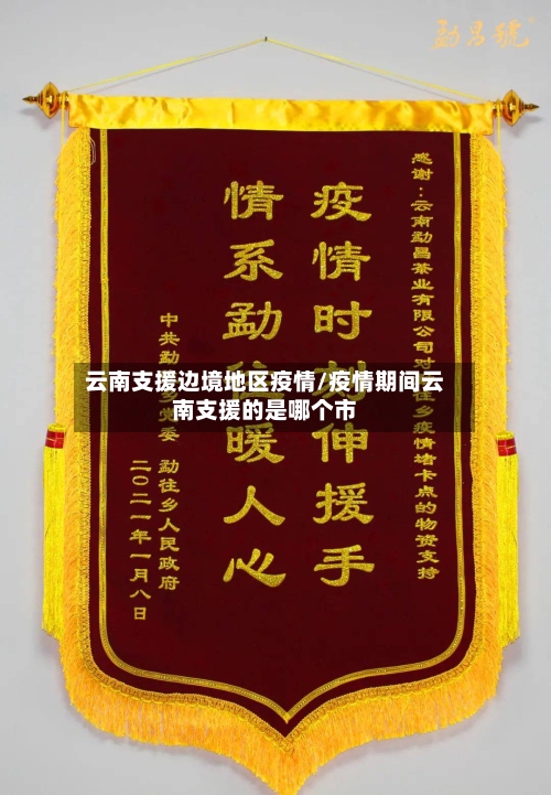云南支援边境地区疫情/疫情期间云南支援的是哪个市