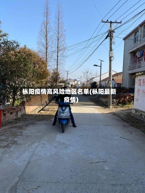 枞阳疫情高风险地区名单(枞阳最新疫情)-第3张图片